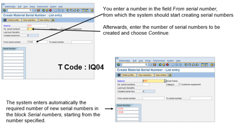 serial number assignment in sap